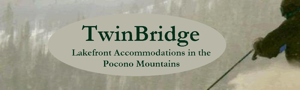 TwinBridge Lakefront Chalet